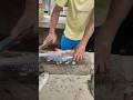 wow!! big size Ruhi fish cutting skills by Indian fish cutter😋#youtube #shorts #amazing #fishcutting