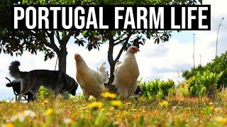 A Beautiful Farm Life ❤ | PORTUGAL FARM LIFE | ASMR