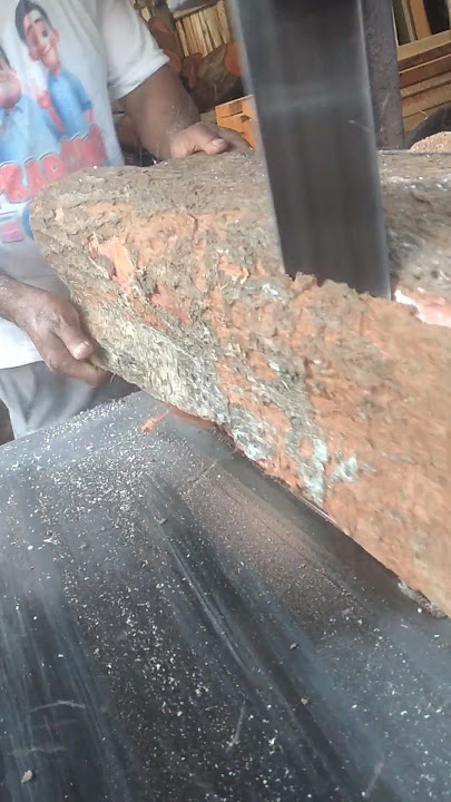 TAJAMNYA GERGAJI RAJANG KAYU MAHONI PART 1994 UU