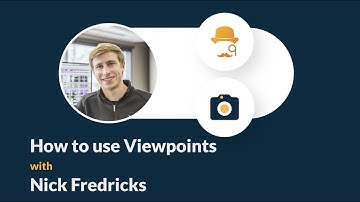 How to use Viewpoints - FlyPaper Academy