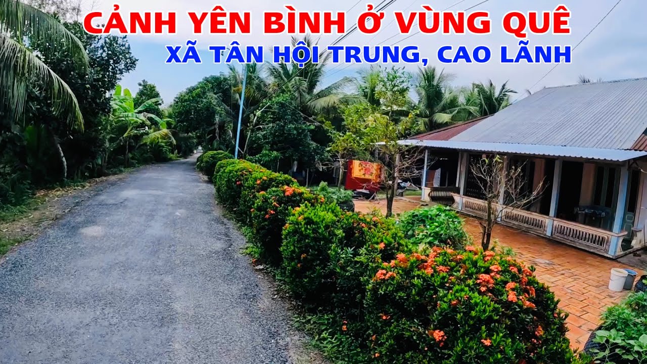 Khám Phá Nét Đẹp Vùng Quê Chạy Dọc Theo Mé Kênh Bắt Gặp Những Hình Ảnh Thân Thương Của Bà Con Mình