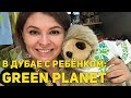 Куда сходить в Дубае с ребёнком: Green Planet Dubai