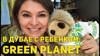 Куда сходить в Дубае с ребёнком: Green Planet Dubai