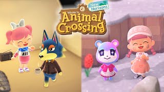 Finding Judy within 57 mystery islands + Wolfgang in my campsite | Animal Crossing New Horizons