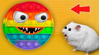 Monster POP IT - Hamster Maze with Traps 😱 [OBSTACLE COURSE]