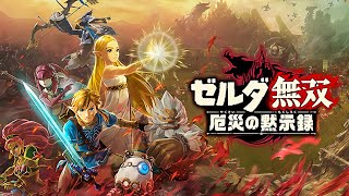 ハイラルの平和は僕が守ります【ゼルダ無双 厄災の黙示録】