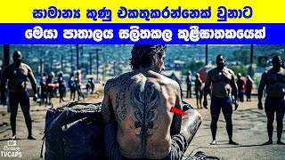 සමනය කණ එකතකරනනක වනට මය පතලය සලතකල කළඝතකයක Sinhala Film Review