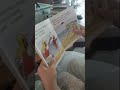 Sheryl｜學 Phonics 10 個月，從拼字到愛上閱讀