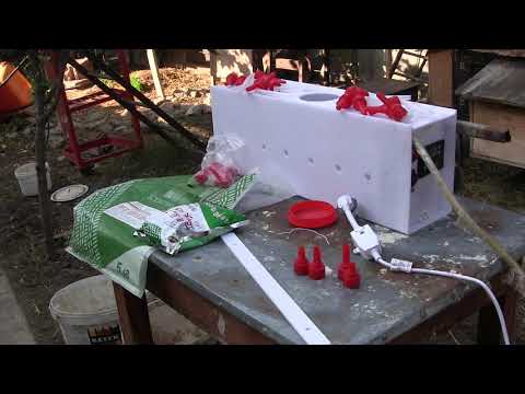 რა უნდა იცოდეს დამწყებმა ფერმერმა დედაღორთან და გოჭებთან დაკავშირებით