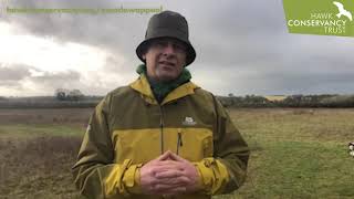 Chris Packham - Guardians of the Meadow Appeal