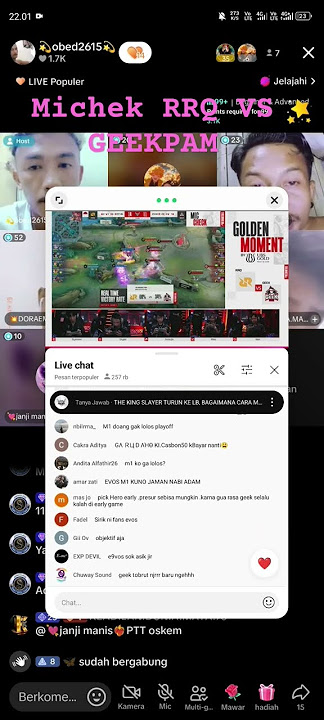 Michek RRQVS GEEKPAM