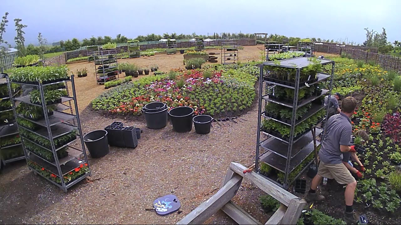 Thompson & Morgan's Floral Fantasia at Hyde Hall 2018