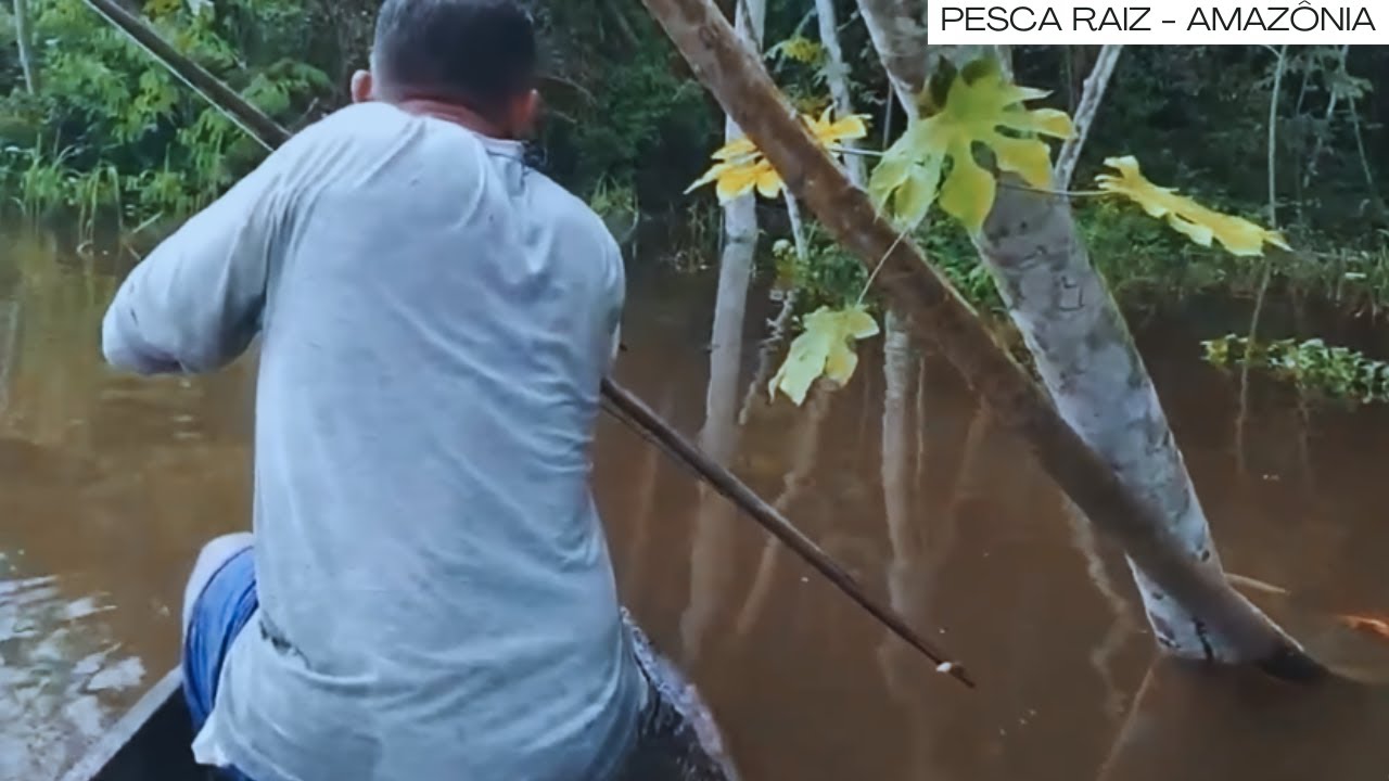 SÓ MATRINCHÃ BRUTA! PESCA com ARCO e FLECHA na SELVA AMAZÔNICA!
