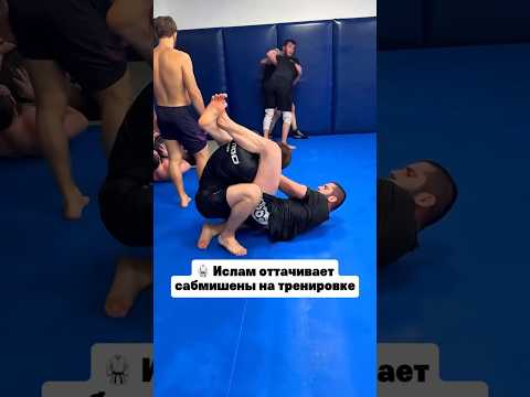 Ислам Махачев оттачивает сабмишены на тренировке #ufc #mma #islammakhachev