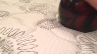 Danican Mattress Motion Transfer Roll Test Youtube