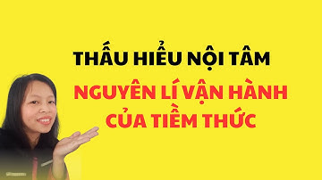 THẤU HIỂU NỘI TÂM NGUYÊN LÍ VẬN HÀNH CỦA TIỀM THỨC TÌM VỀ CỘI NGUỒN NHÂN QUẢ NHÂN SINH