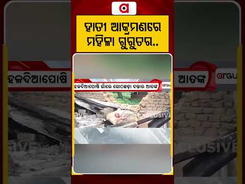 ହାତୀ ଆକ୍ରମଣରେ ମହିଳା ଗୁରୁତର | Elephant Attack | Man Animal Conflict | Forest Department | Argus News