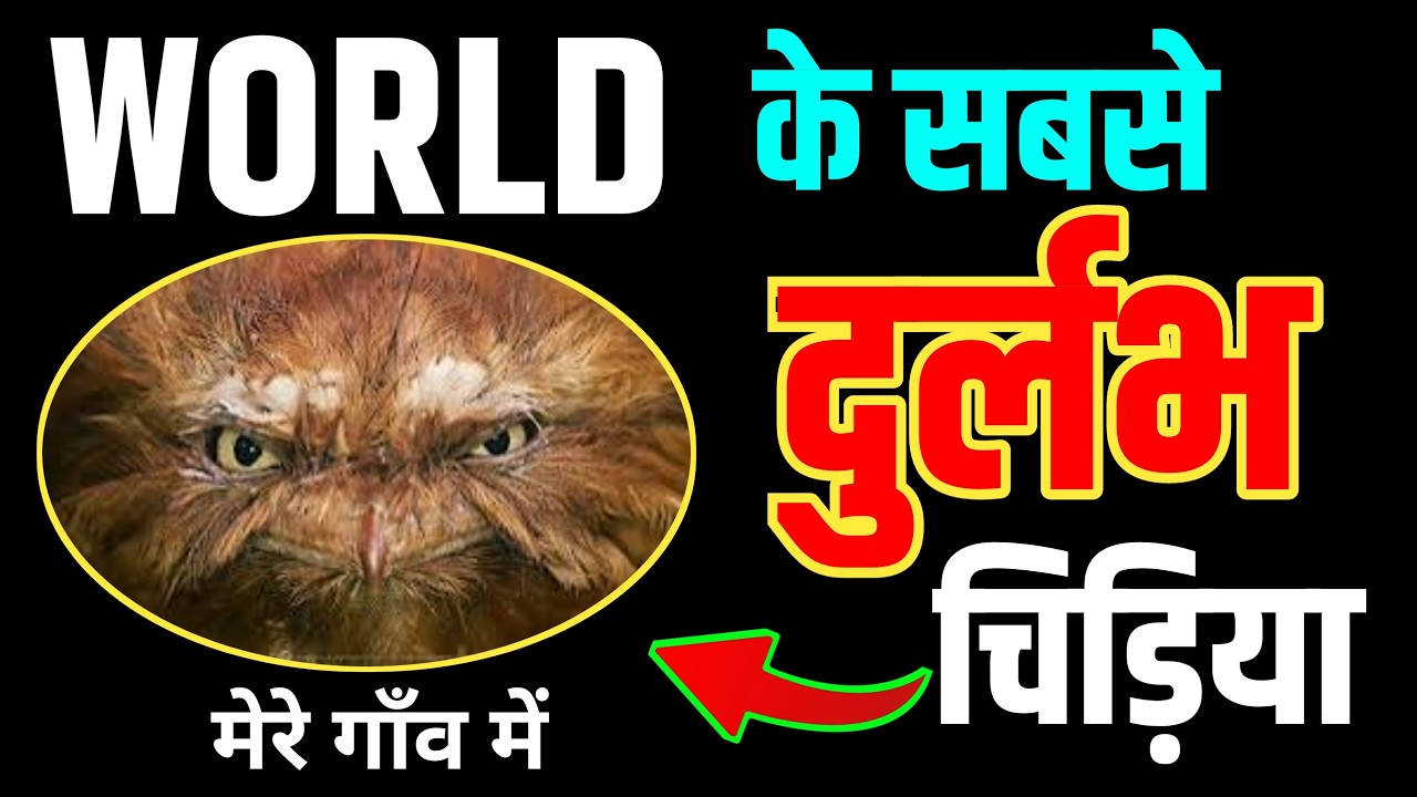 World's Rarest Birds and Camouflage Adaptations