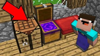 Minecraft NOOB vs PRO: NOOB OPENED CHEST AND FOUND A SUPER SECRET PORTAL Challenge 100% trolling