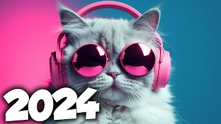 AS MELHORES MÚSICAS ELETRÔNICAS DE 2024 ⚡️ AS MAIS TOCADAS ⚡️ ALOK, DAVID GUETTA MIX