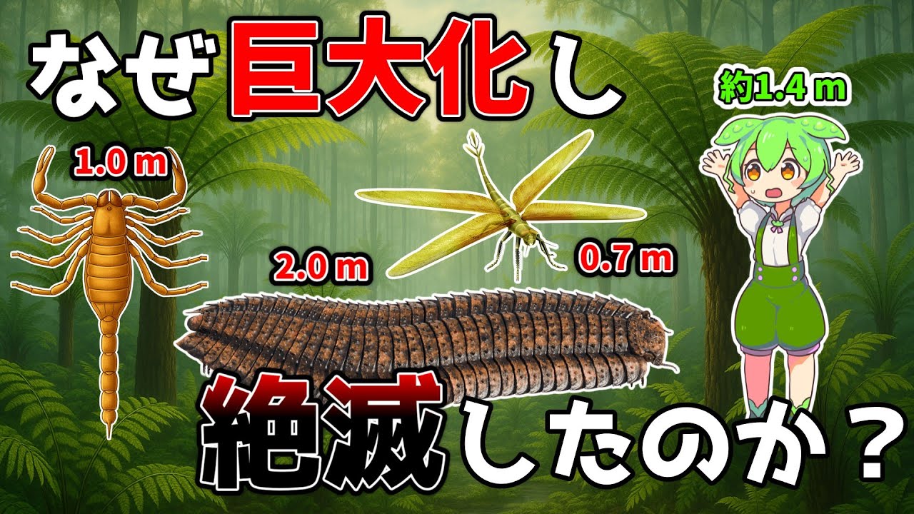 【衝撃】なぜ古代の虫は巨大化し、絶滅したのか？3億年前の地球で起きた驚きの進化と滅亡の真実【ずんだもん解説】