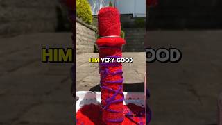 Johnny's Shocking Story #funny