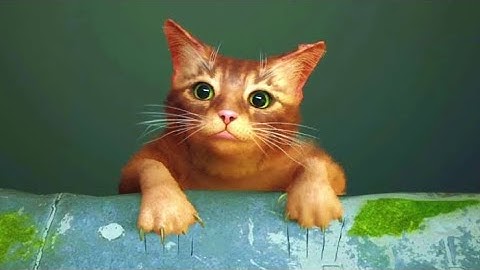 STRAY PS5 Walkthrough Gameplay Part 1 - INTRO- 4K 60FPS HDR