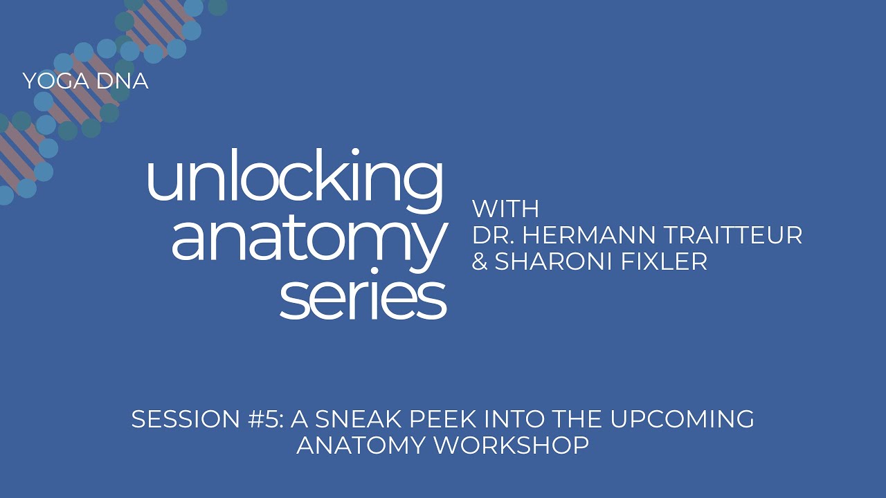 Unlocking Anatomy Series: #5 - A Sneak Peek into the Upcoming Anatomy Workshop