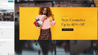 Ellie Free WordPress Multipurpose Theme Options Overview