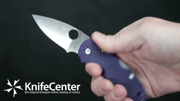 Spyderco Native 5 Folding Knife
