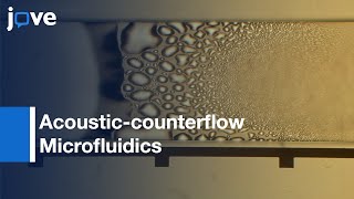 Surface-acoustic-wave-driven Acoustic-counterflow Microfluidics | Protocol Preview