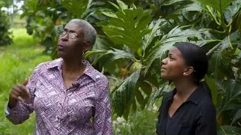 Talking Breadfruit with Dr. Laura Roberts-Nkrumah ...