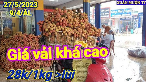 giá vải lai u tại kép hồng giang lục Ngạn hôm nay 27/5/2023 đầu vụ giá 24k đến 28k/1kg