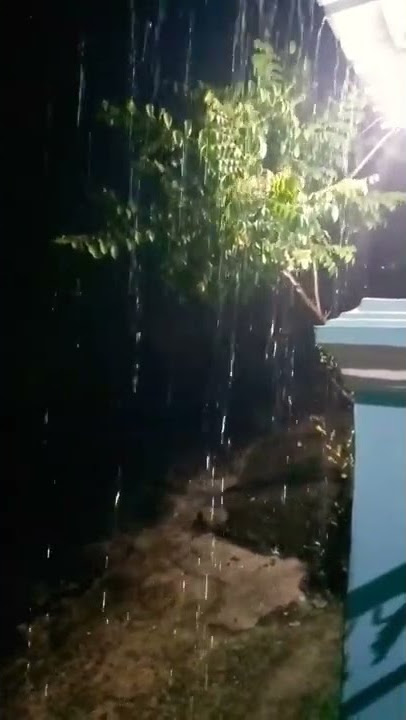 Begini Rupanya Suara Hujan Deras Yang Jatuh di Atap Seng 💦💦