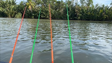 Cần tôm giá rẻ 90k câu tôm và cá nhỏ 1m35