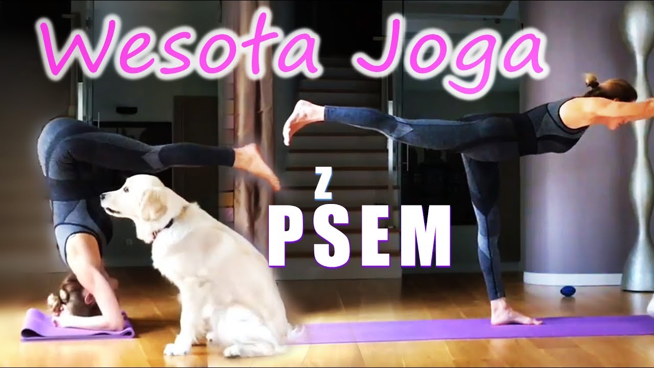 Wesoła JOGA z psem 🐶 Ola Żelazo YouTube