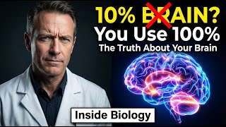 We Don't Use 10% of Our Brain - Myths Debunked
