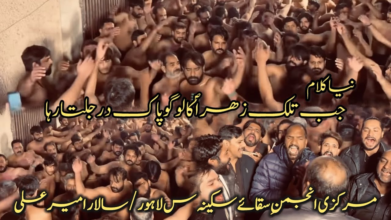 New Noha 2025 | Jab Talak Zehra Sa Ka Logo | Anjuman Saqqa e Sakina sa Lhr | Salar Ameer Ali 