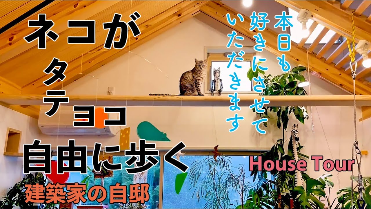 ルームツアー】大通りのようなキャットウォークも！ネコの街をおうちの