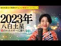【占い】2023年八白土星さん運勢「情熱的な1年間!結果が出て表舞台に出ていく✨」全体運・仕事運・健康運・恋愛運💖占いました
