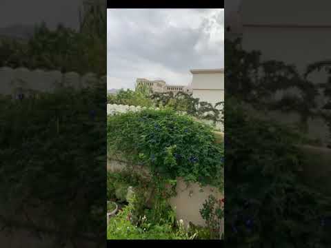 ياأم العيون السود ناظم الغزالي