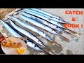 GARFISH - Catch & Cook , Trash Fish That Taste Amazing !
