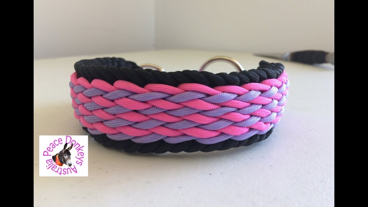 Wavy falls paracord dog collar instructions 