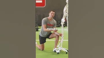 Hip Mobility Biomechanics