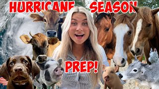 Getting The FARM Prepared For HURRICANE SEASON With All My Pets! screenshot 2