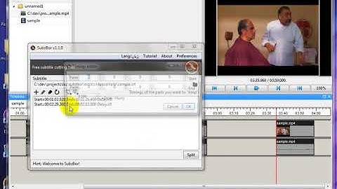 How to cut a video and its subtitle using Vidiot and SubzBor