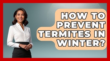 How To Prevent Termites In Winter? - Insects and Invaders