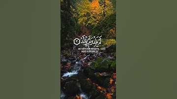 سورة الإخلاص بصوت هادئ و مريح #القرآن #التلاوة_المميزة