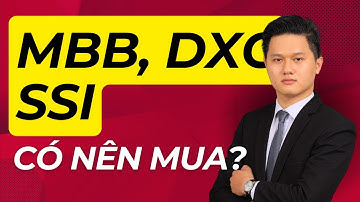 Cổ phiếu MBB, SSI, DXG - Có nên mua gom? Chu kỳ BÙNG NỔ LỢI NHUẬN sắp đến?