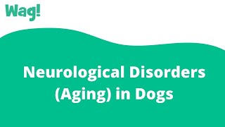 How Do Dogs Get Neurological Disorders